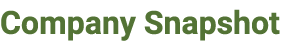 Company Snapshot