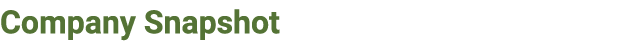 Company Snapshot